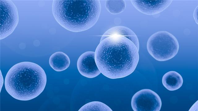 胚胎干细胞分化