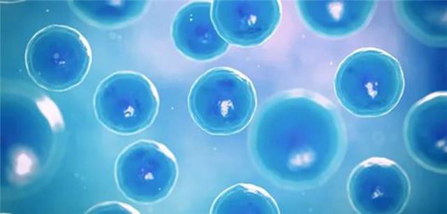 日本自体干细胞抗衰老重要吗
