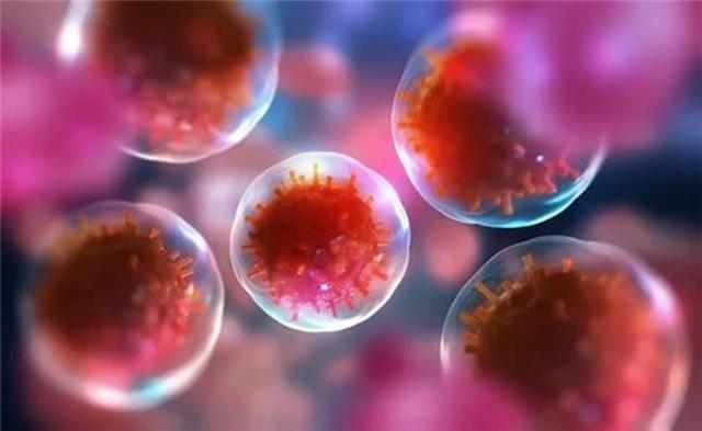 日本干细胞真的能抗衰老吗
