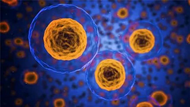干细胞回输抗衰老的方法如何