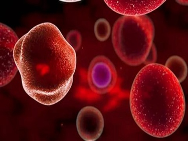 脐带血干细胞的作用和功效
