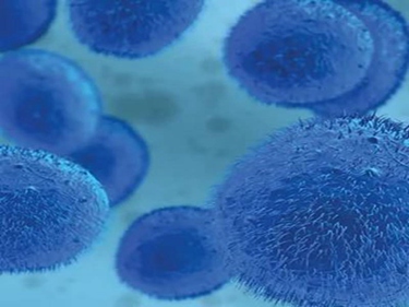 现在的造血干细胞捐献对身体有影响吗