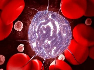 干细胞疗法美容功效和作用-干细胞疗法美容效果怎么样