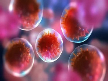 日本干细胞真的能抗衰老吗