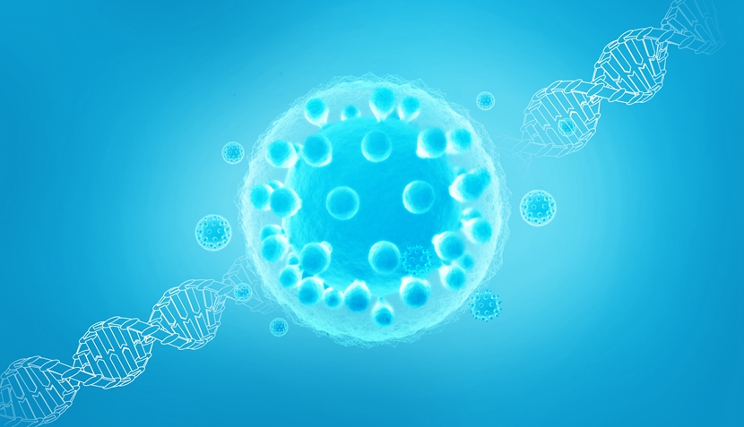 胚胎干细胞特点