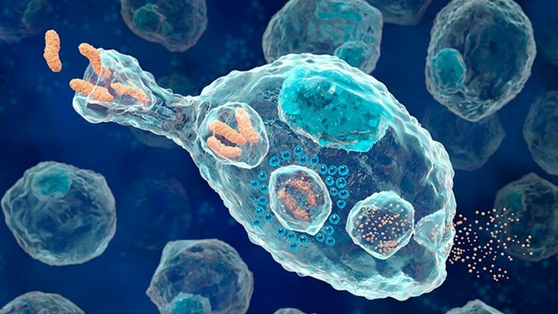 干细胞治疗癌症机制