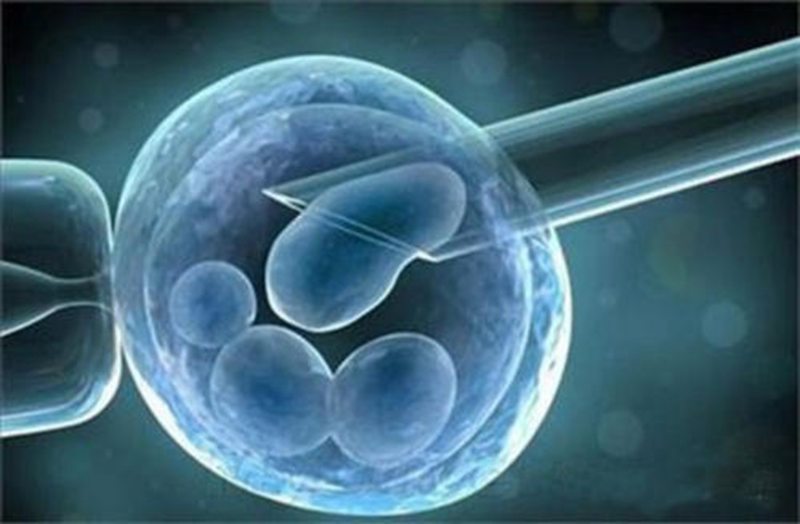 胎盘干细胞