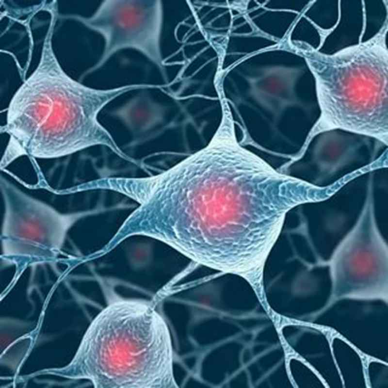 间充质干细胞美容抗衰老