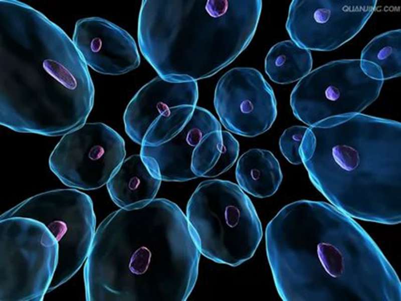 干细胞抗衰老的优势是什么