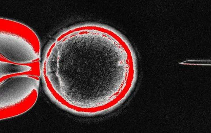 新生儿干细胞存储