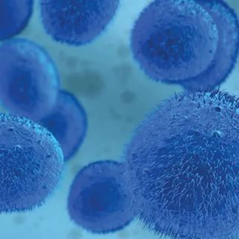 造血干细胞捐献对身体有影响吗